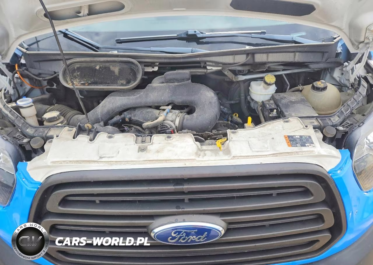 2019 Ford Transit 150 Delivery Van VIN:1FTYE2CM3KKB09073 - 11