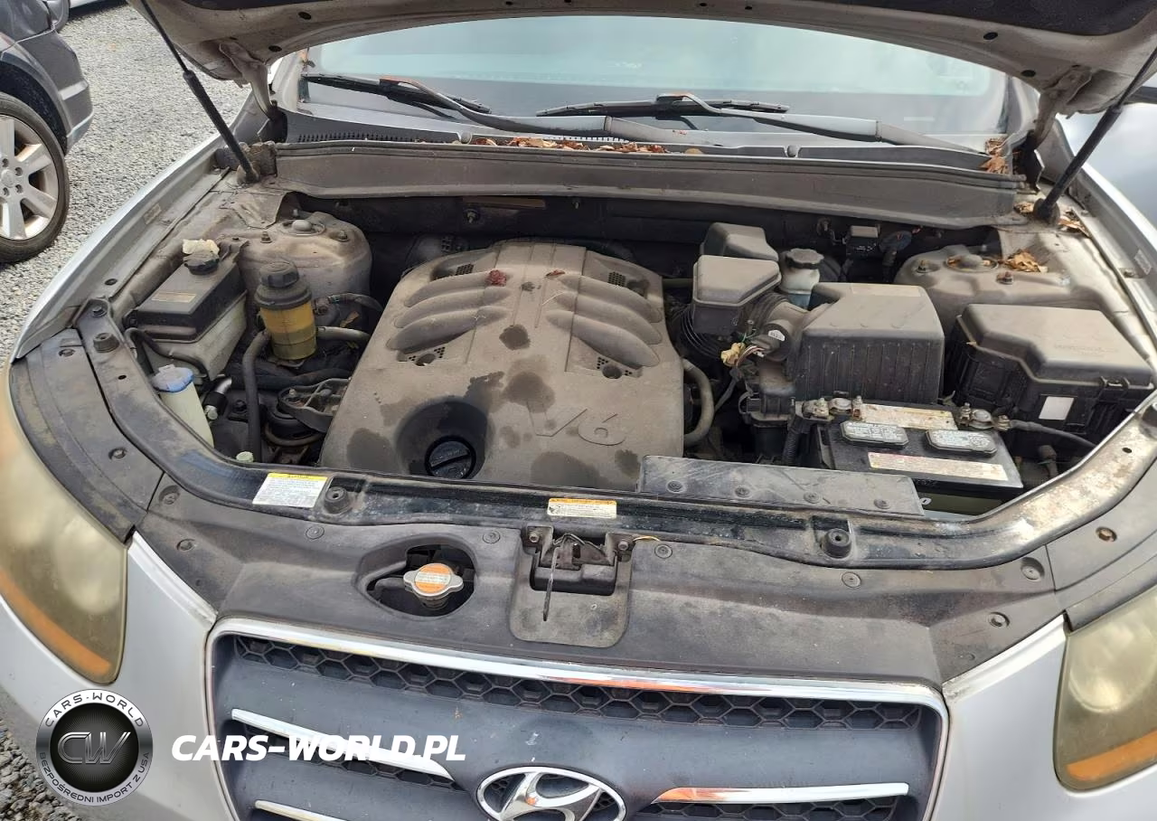 2009 Hyundai Santa Fe Limited VIN:5NMSH13E09H231475 - 12