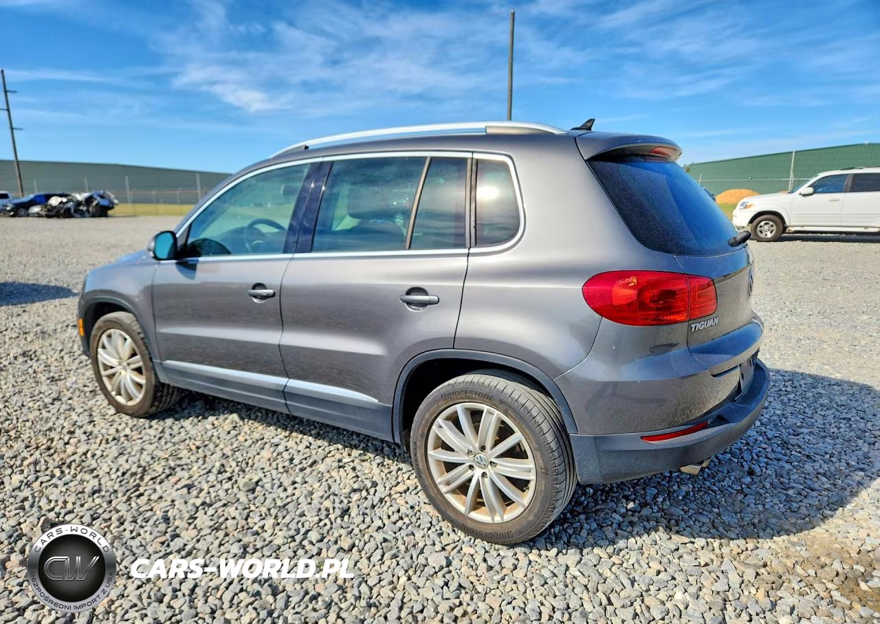 2014 Volkswagen Tiguan S VIN:WVGAV3AX5EW625416 - 2