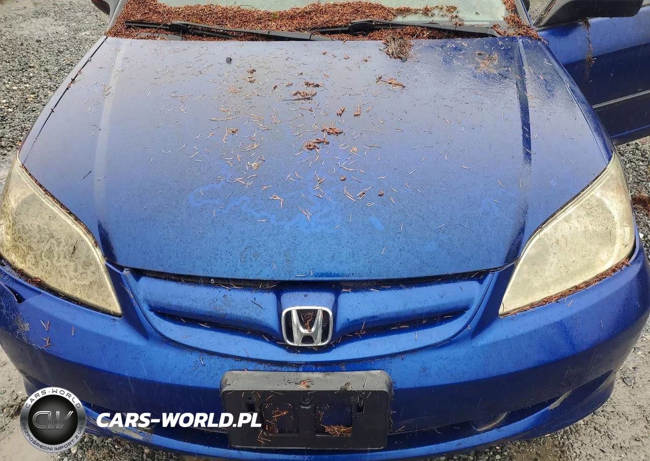 2004 Honda Civic Dx Vp VIN:2HGES16394H573425 - 11