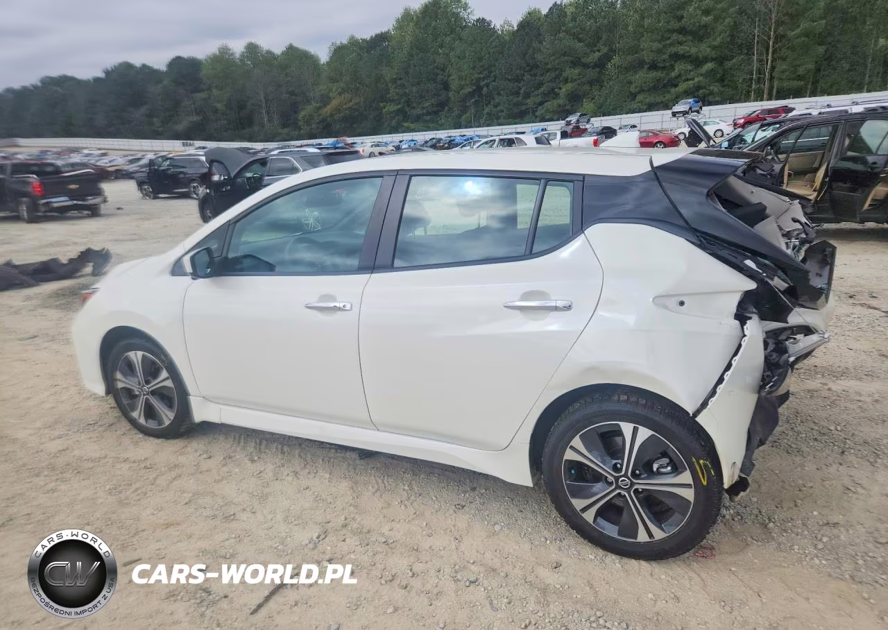 2020 Nissan Leaf Sv VIN:1N4AZ1CP4LC305146 - 2