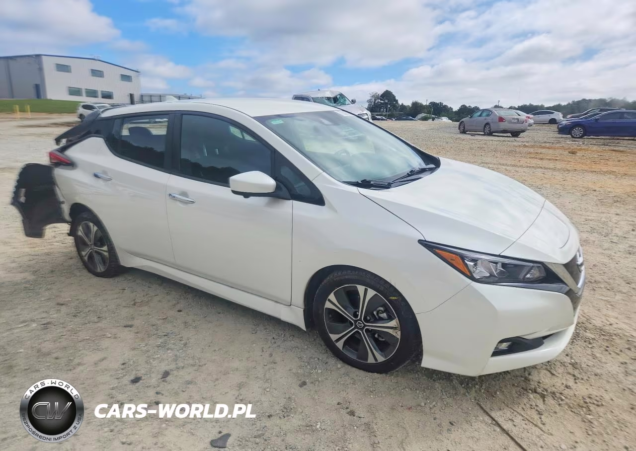 2020 Nissan Leaf Sv VIN:1N4AZ1CP4LC305146 - 4