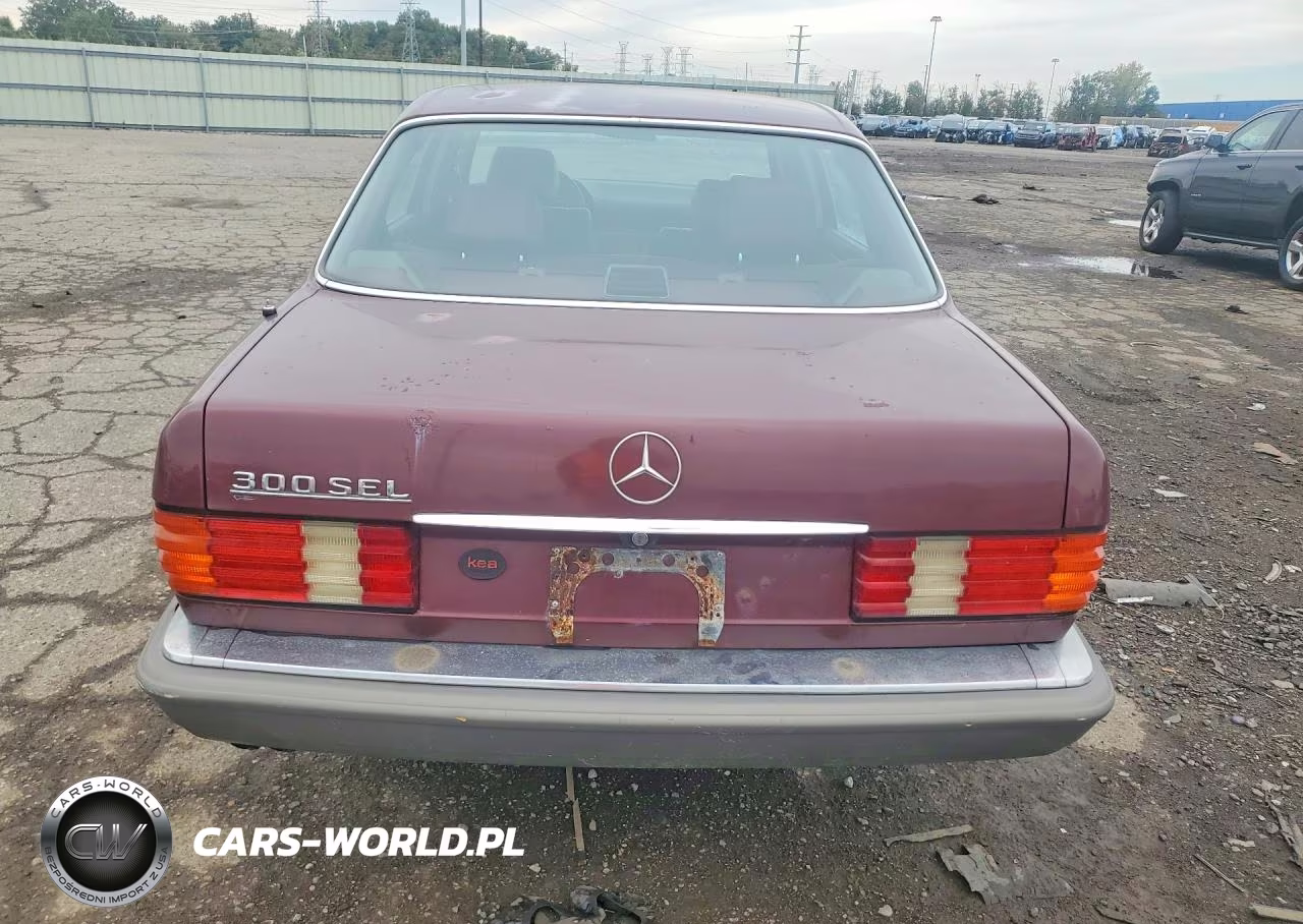 1988 Mercedes-Benz 300 Sel VIN:WDBCA25D7JA395872 - 6