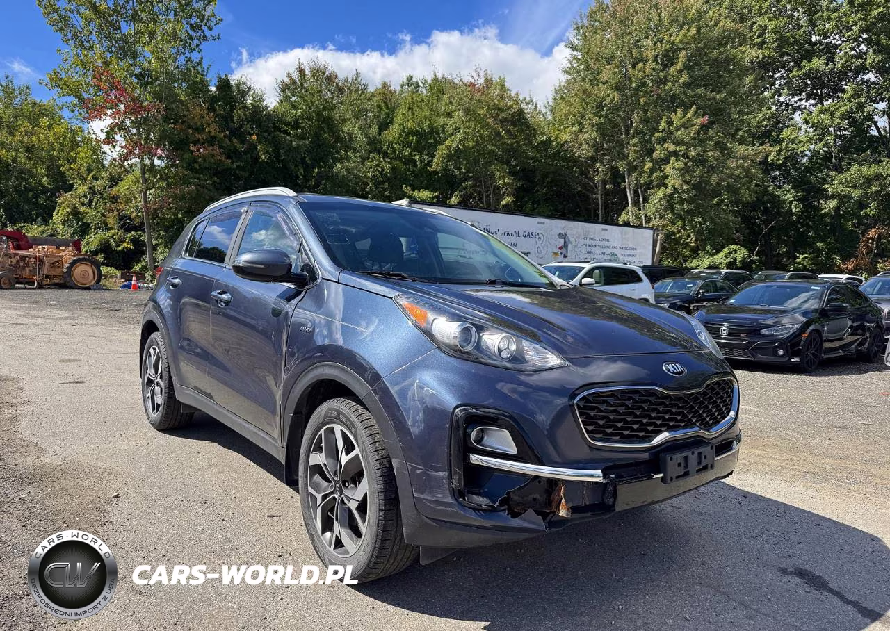 2020 Kia Sportage E VIN:KNDPNCAC4L7688249 - 2