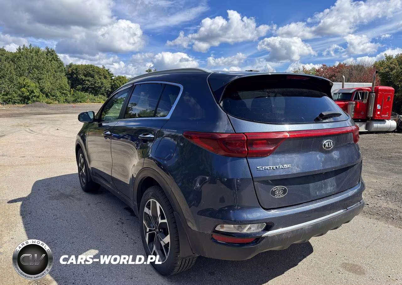 2020 Kia Sportage E VIN:KNDPNCAC4L7688249 - 4