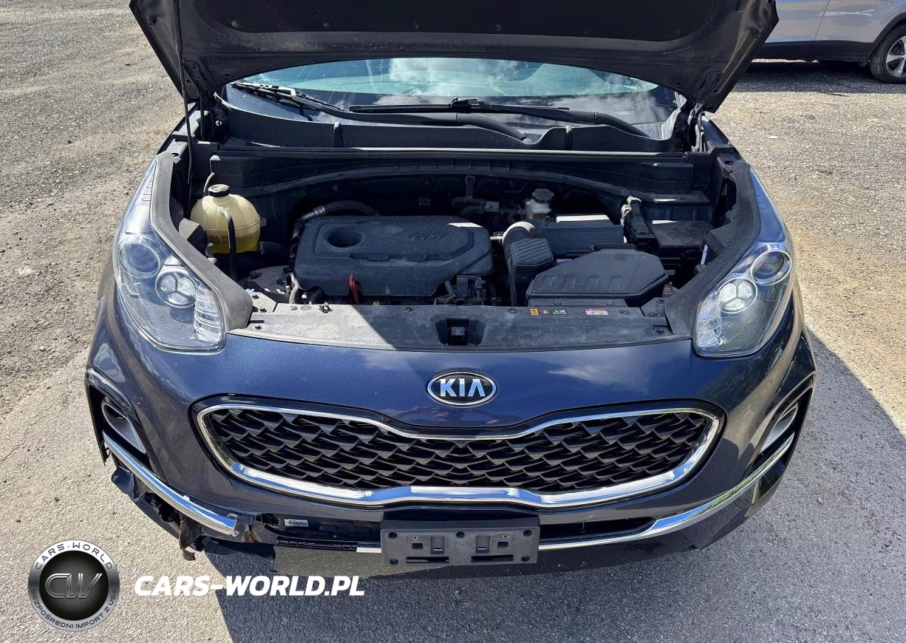 2020 Kia Sportage E VIN:KNDPNCAC4L7688249 - 8