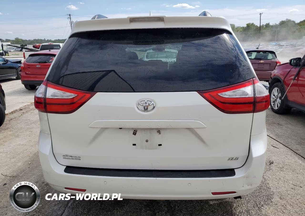 2018 Toyota Sienna Xle 8-Passenger VIN:5TDYZ3DC8JS939619 - 6