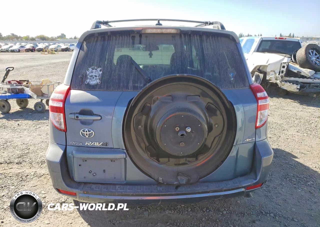 2009 Toyota Rav4 Limited VIN:JTMBK31V49D008705 - 6