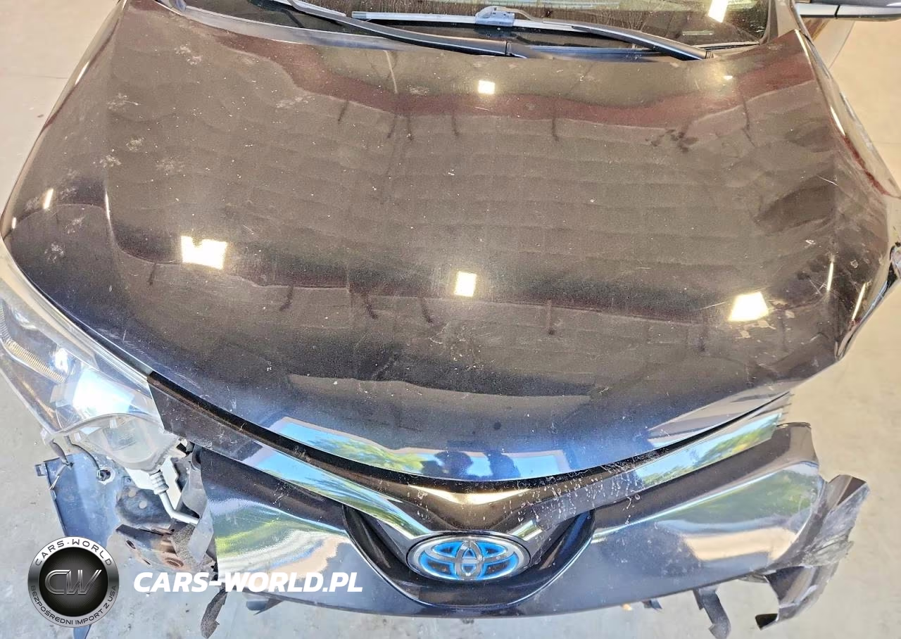 2017 Toyota Rav4 Hv Se VIN:JTMJJREV5HD140866 - 12