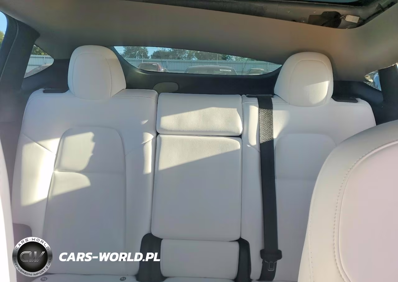 2025 Tesla Model Y VIN:7SAYGDED3SF229586 - 10