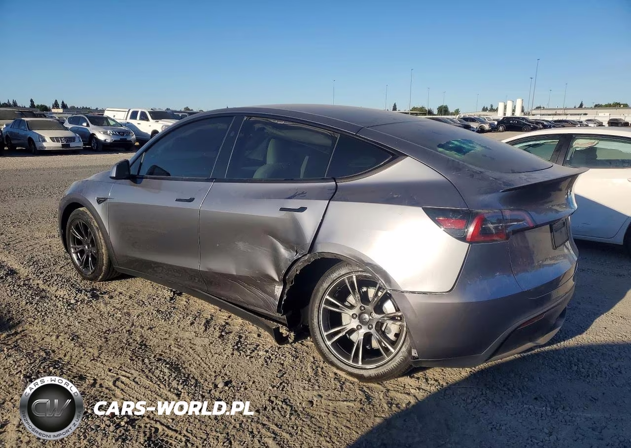 2025 Tesla Model Y VIN:7SAYGDED3SF229586 - 2