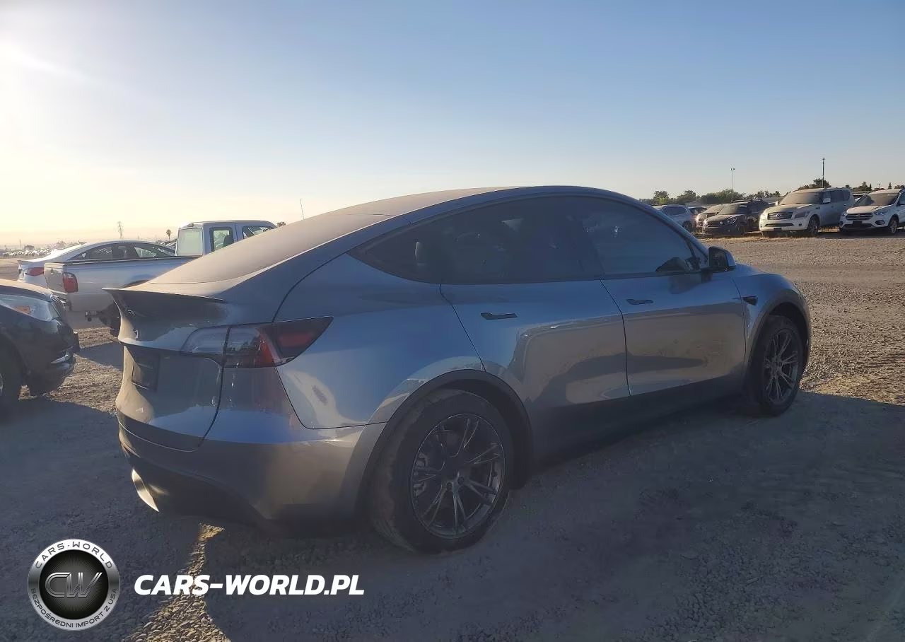 2025 Tesla Model Y VIN:7SAYGDED3SF229586 - 3