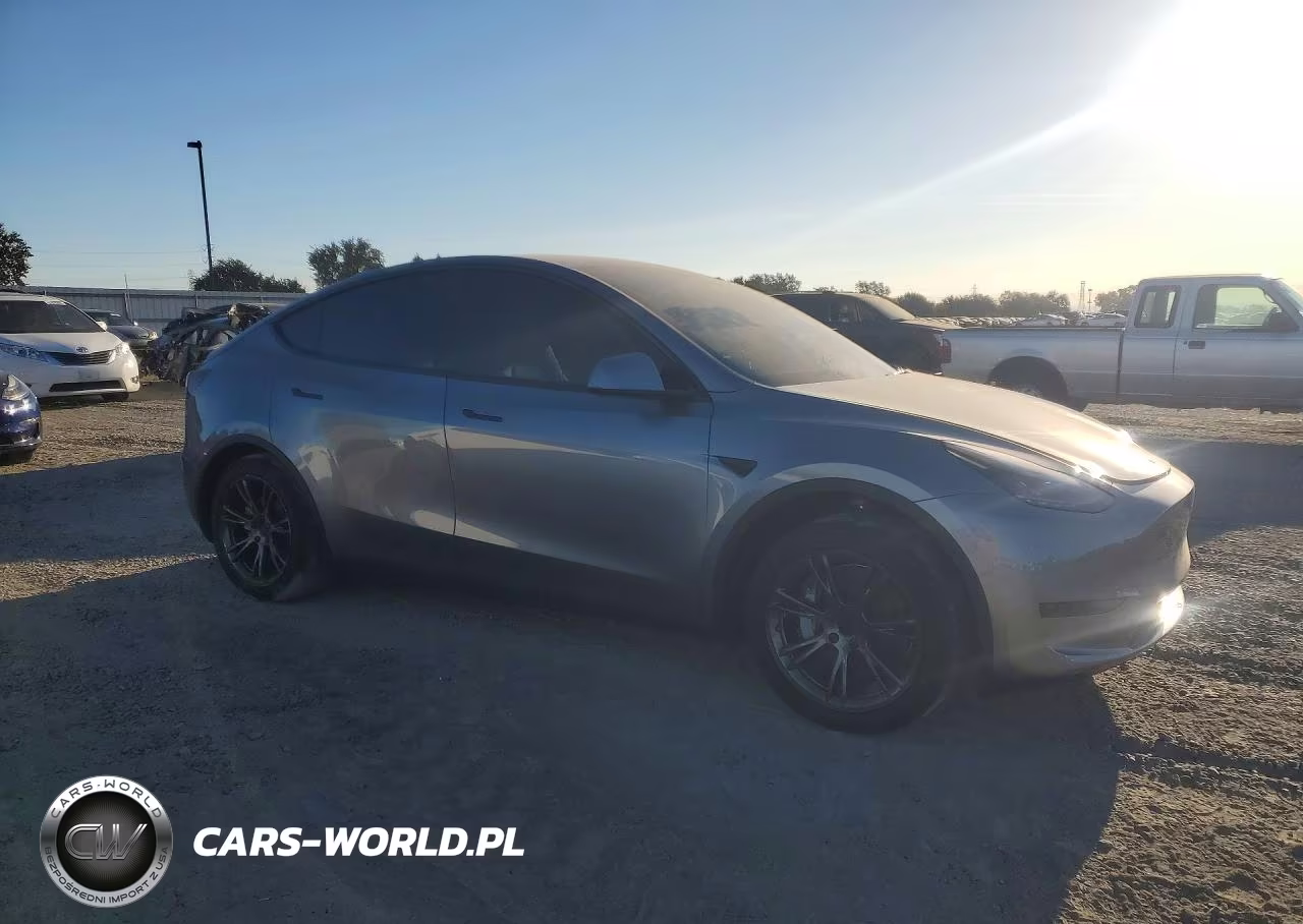 2025 Tesla Model Y VIN:7SAYGDED3SF229586 - 4