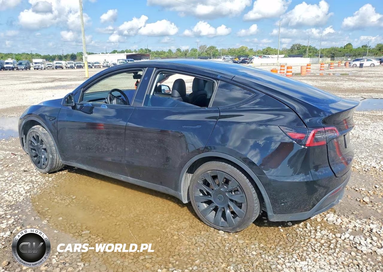 2023 Tesla Model Y VIN:7SAYGDEE0PA163415 - 2