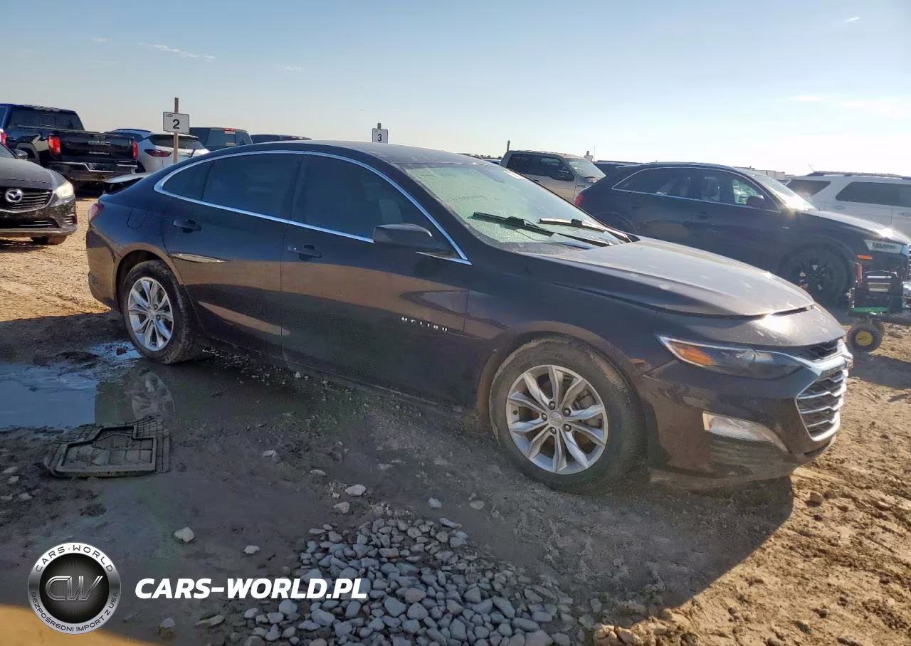2020 Chevrolet Malibu Lt VIN:1G1ZD5ST1LF010191 - 4