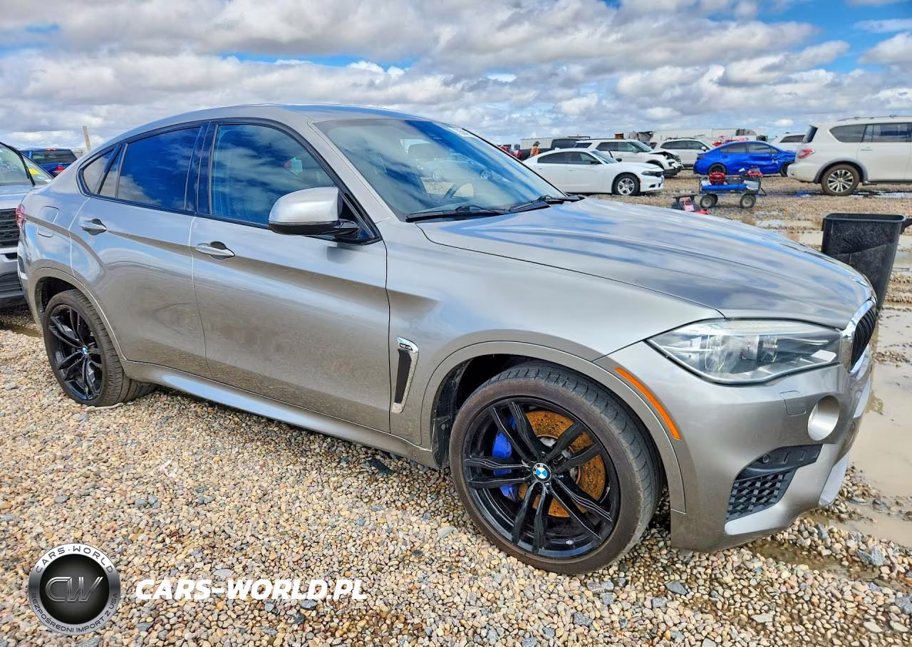 2016 BMW X6 M VIN:5YMKW8C57G0R43842 - 4