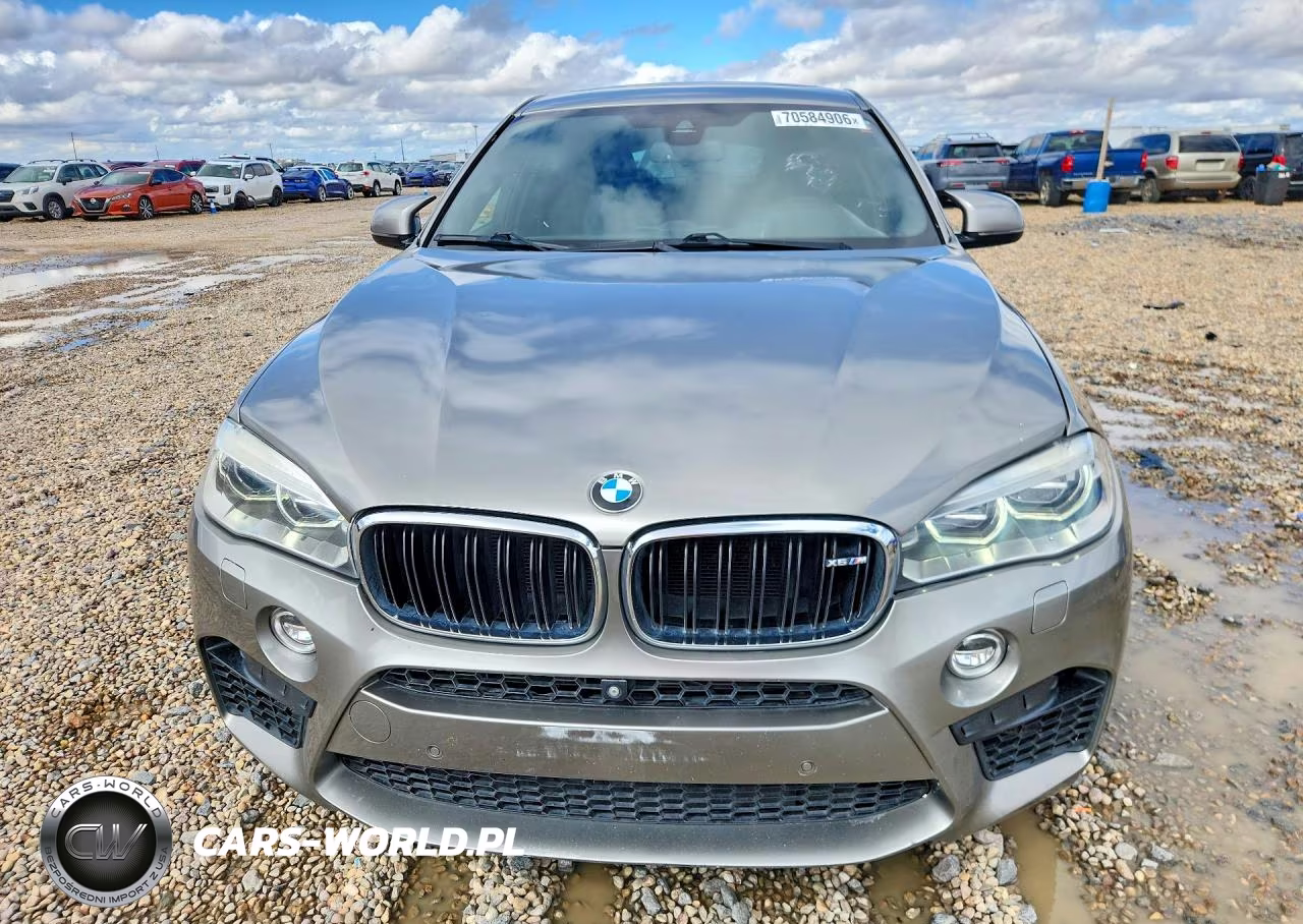 2016 BMW X6 M VIN:5YMKW8C57G0R43842 - 5