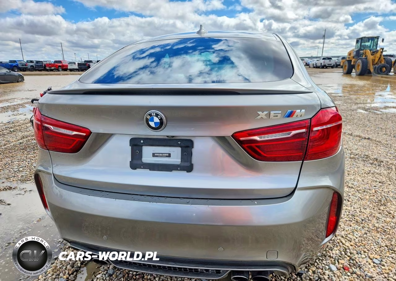 2016 BMW X6 M VIN:5YMKW8C57G0R43842 - 6