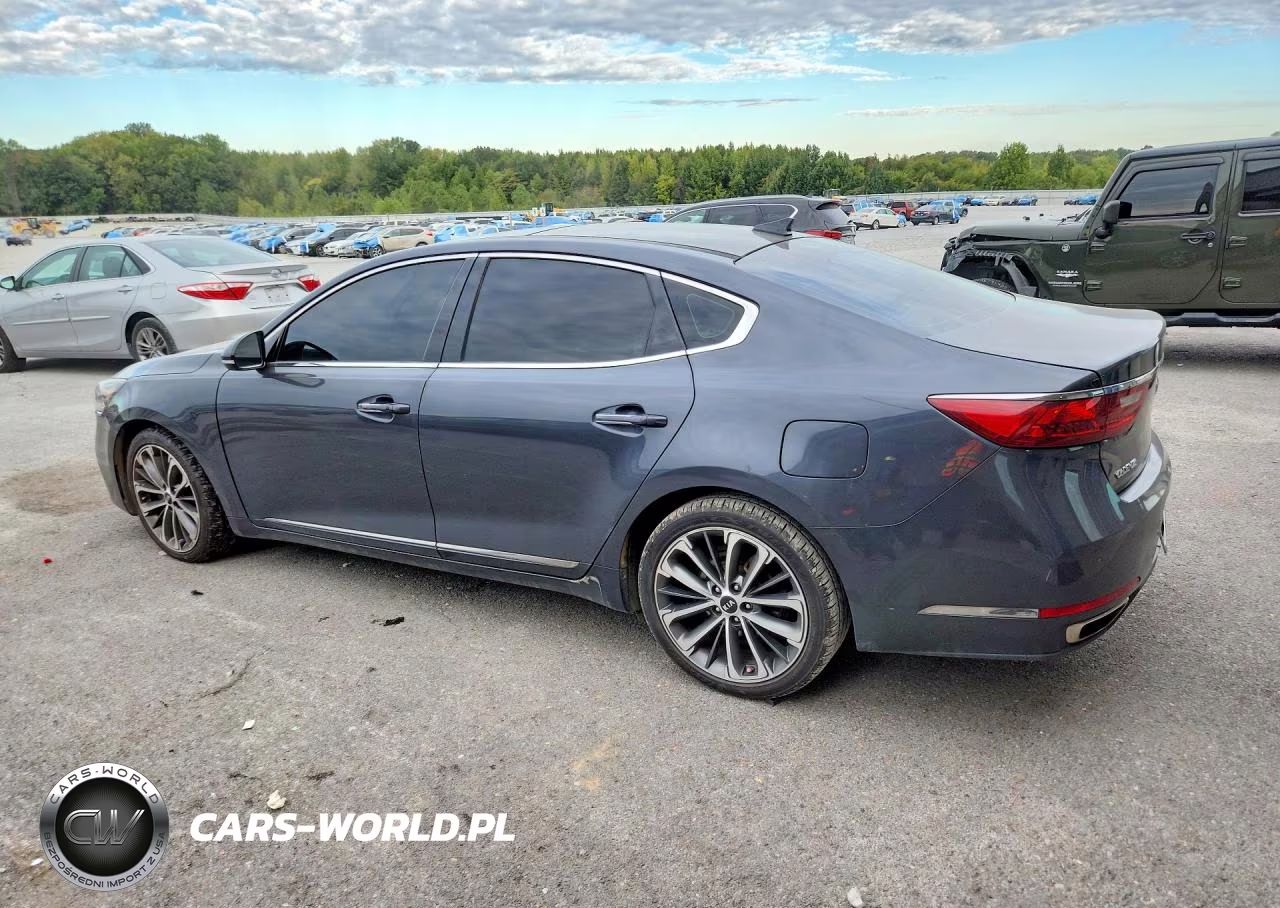 2018 Kia Cadenza Technology VIN:KNALC4J19J5098725 - 2