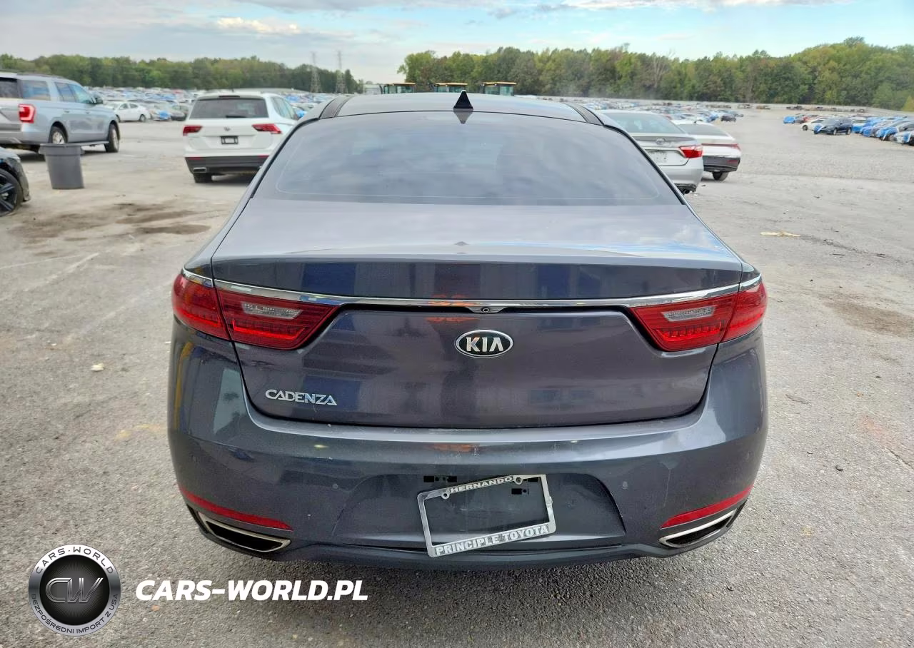 2018 Kia Cadenza Technology VIN:KNALC4J19J5098725 - 6