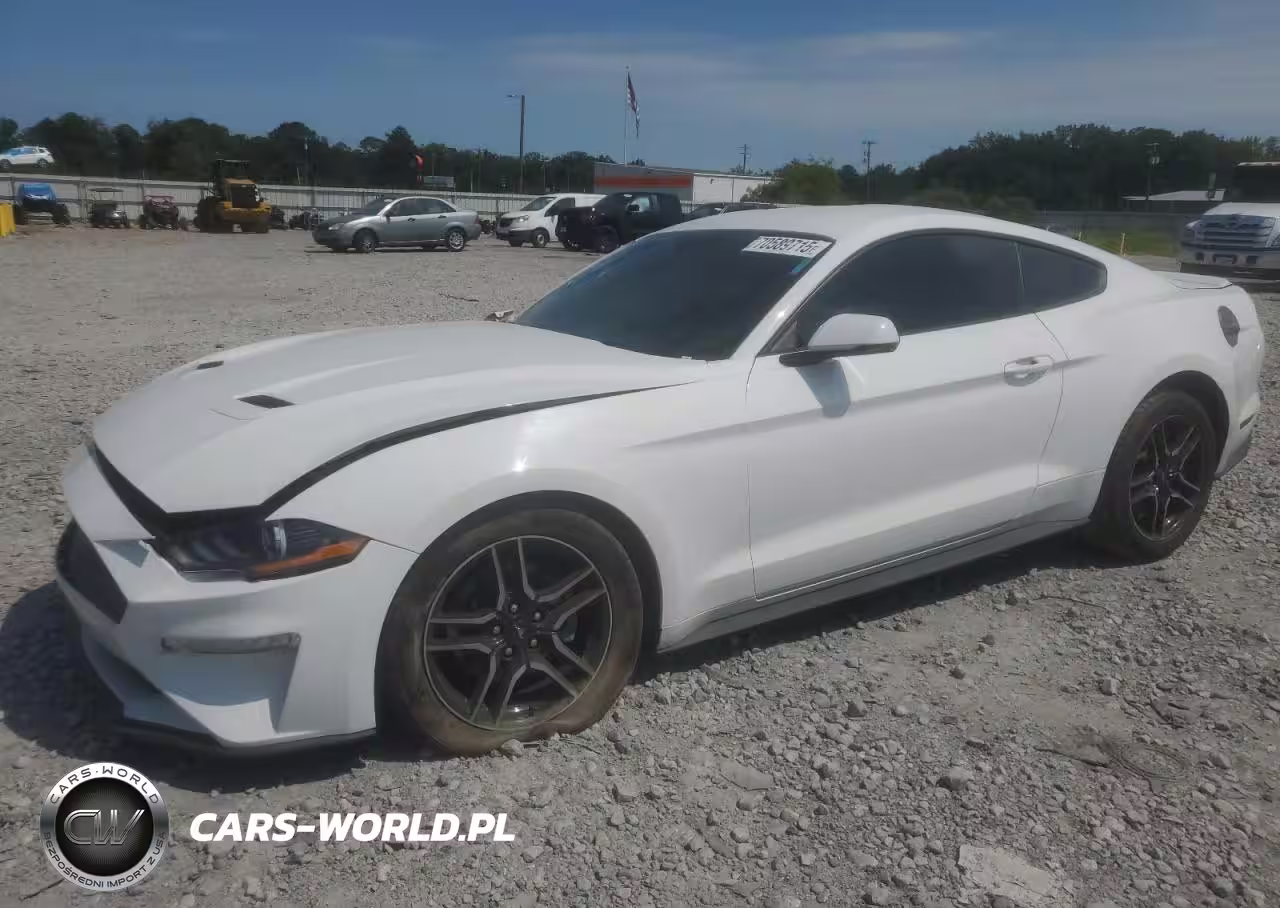 2019 Ford Mustang