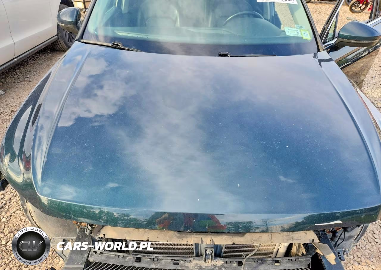 2019 Volkswagen Tiguan Sel Premium VIN:3VV4B7AX9KM008874 - 12