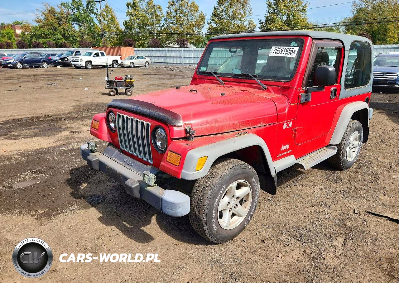 2003 Jeep Wrangler Commando VIN:1J4FA39S33P318097 - 1