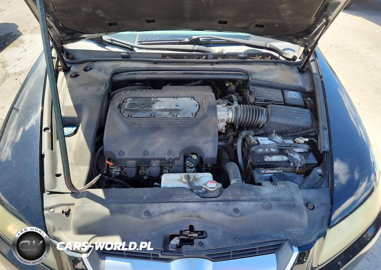 2006 Acura 3.2Tl VIN:19UUA66286A001296 - 11