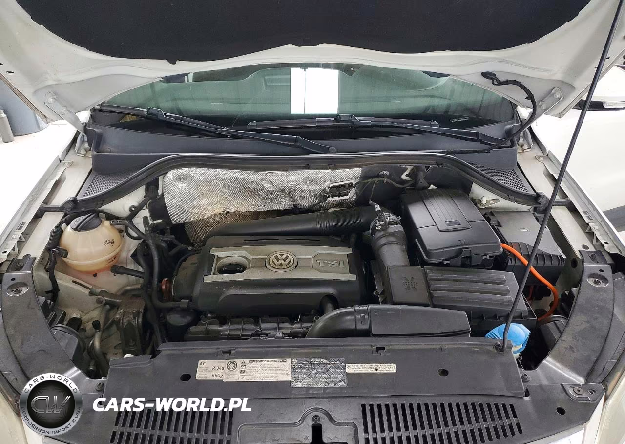 2011 Volkswagen Tiguan S VIN:WVGBV7AX9BW555930 - 12