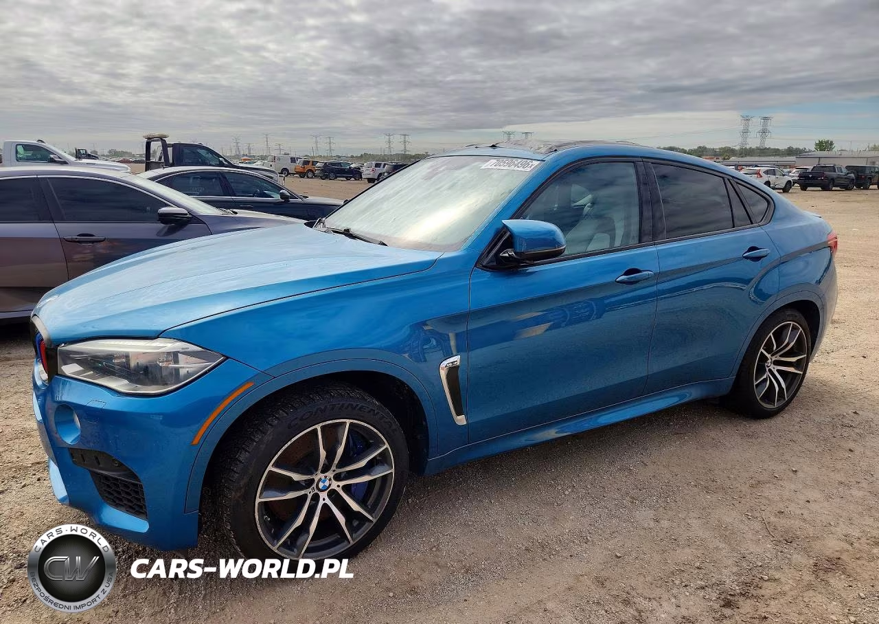 2015 BMW X6 M