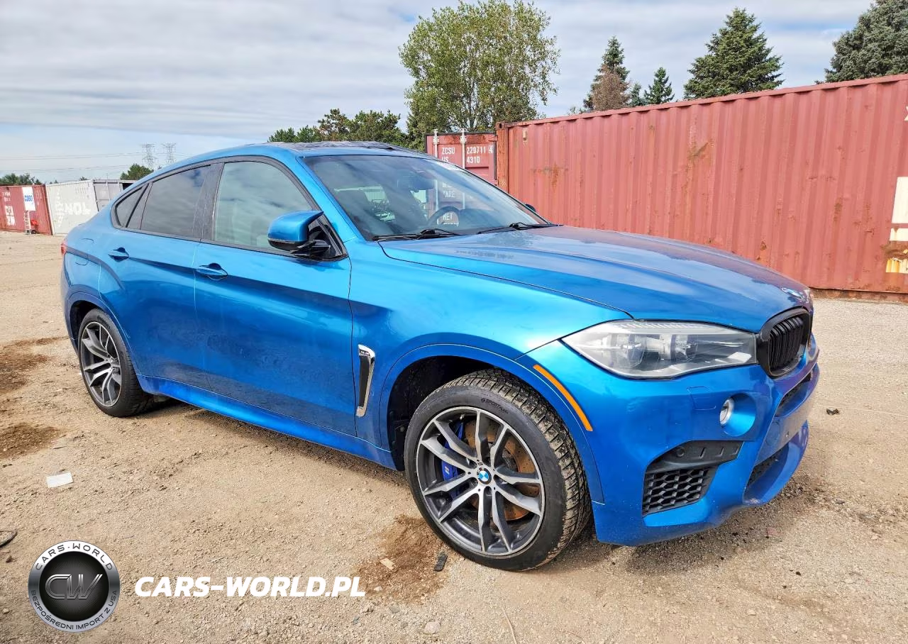 2015 BMW X6 M VIN:5YMKW8C56F0R42762 - 4