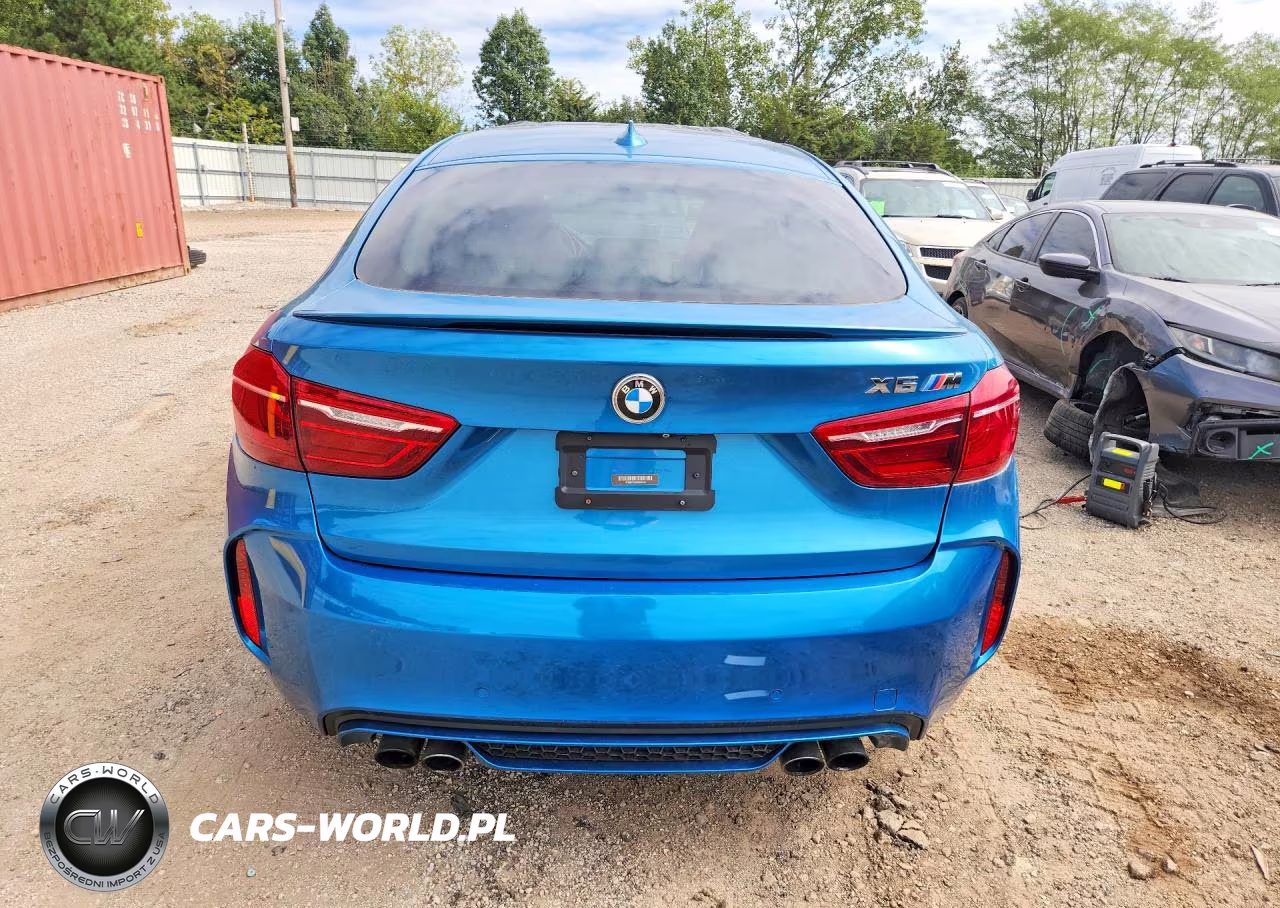 2015 BMW X6 M VIN:5YMKW8C56F0R42762 - 6