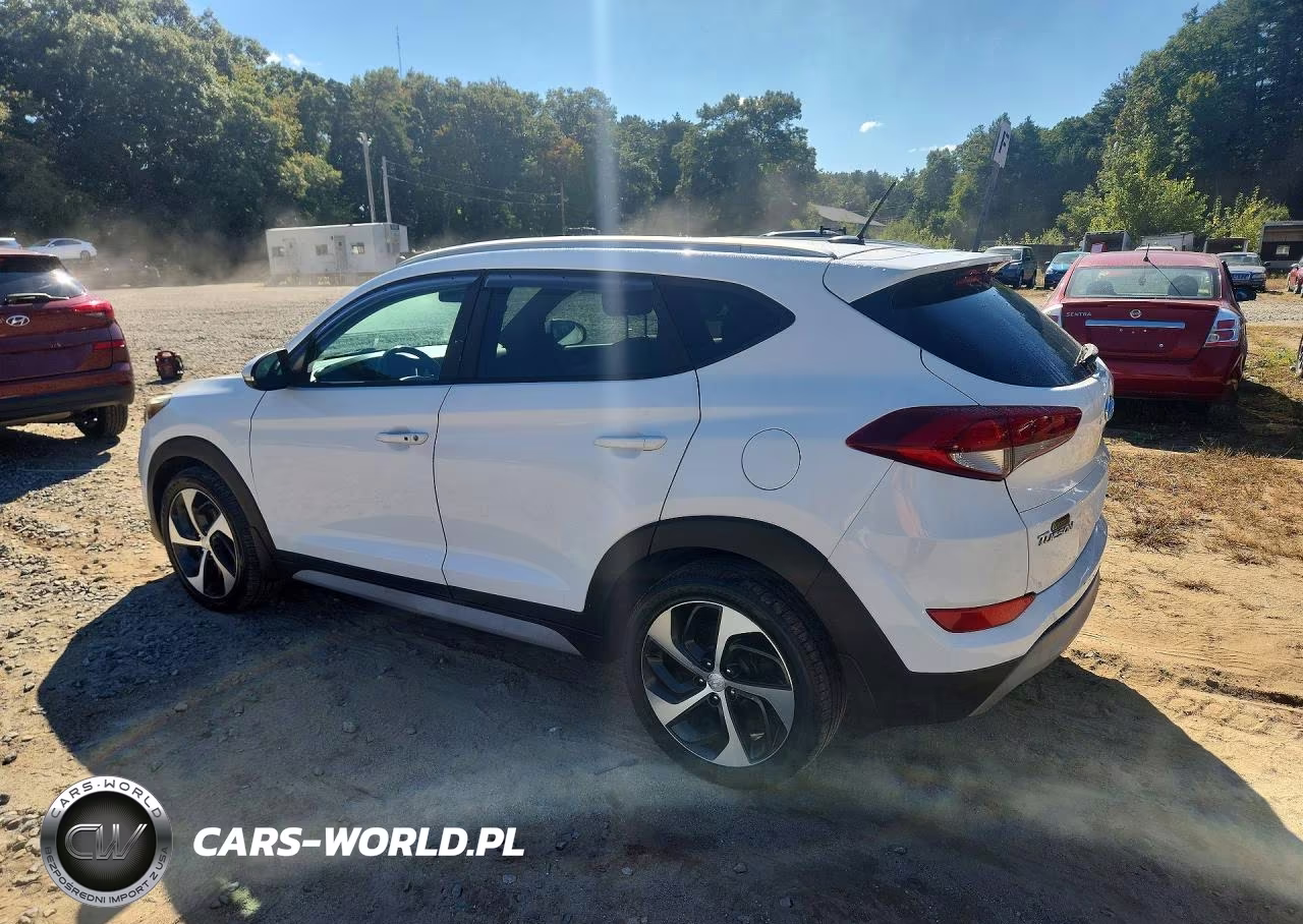 2017 Hyundai Tucson Sport VIN:KM8J3CA24HU397290 - 2