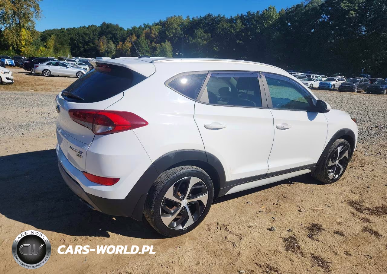 2017 Hyundai Tucson Sport VIN:KM8J3CA24HU397290 - 3