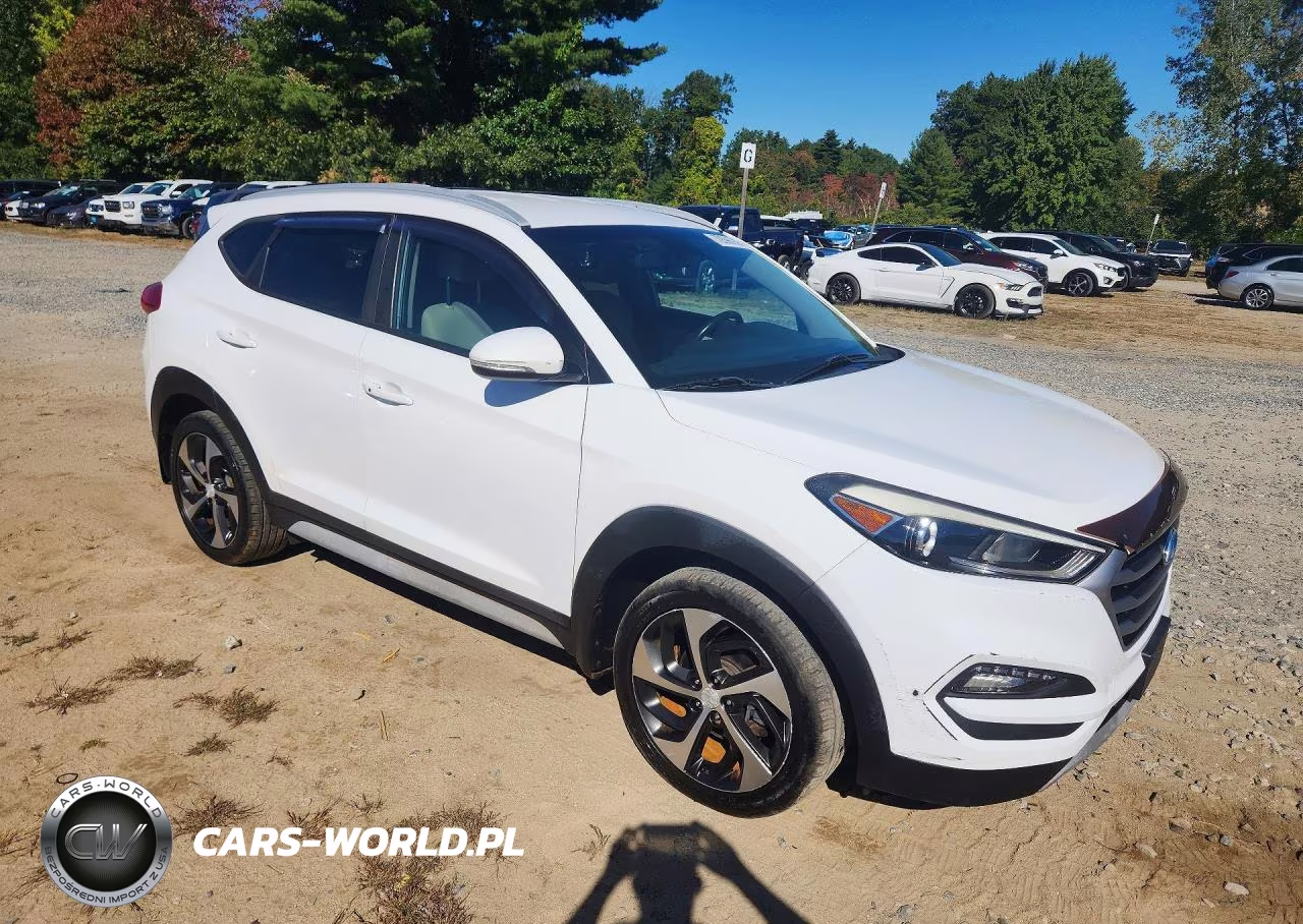 2017 Hyundai Tucson Sport VIN:KM8J3CA24HU397290 - 4