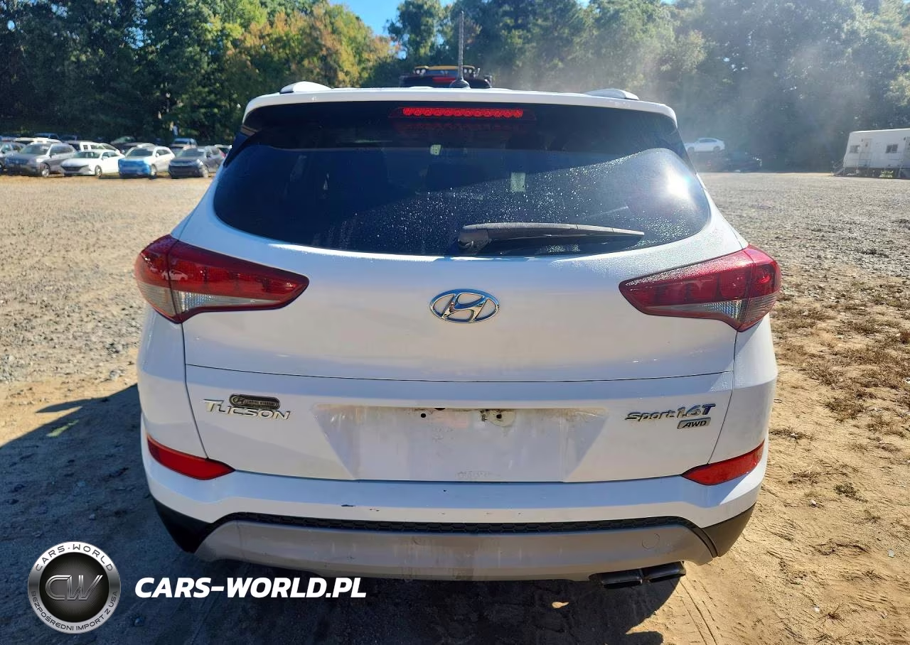 2017 Hyundai Tucson Sport VIN:KM8J3CA24HU397290 - 6