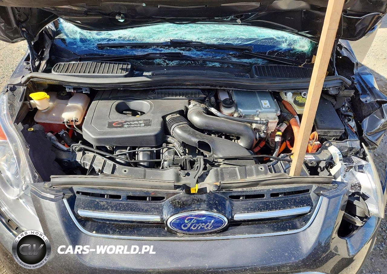 2016 Ford C-Max Premium Sel VIN:1FADP5CU6GL116827 - 12
