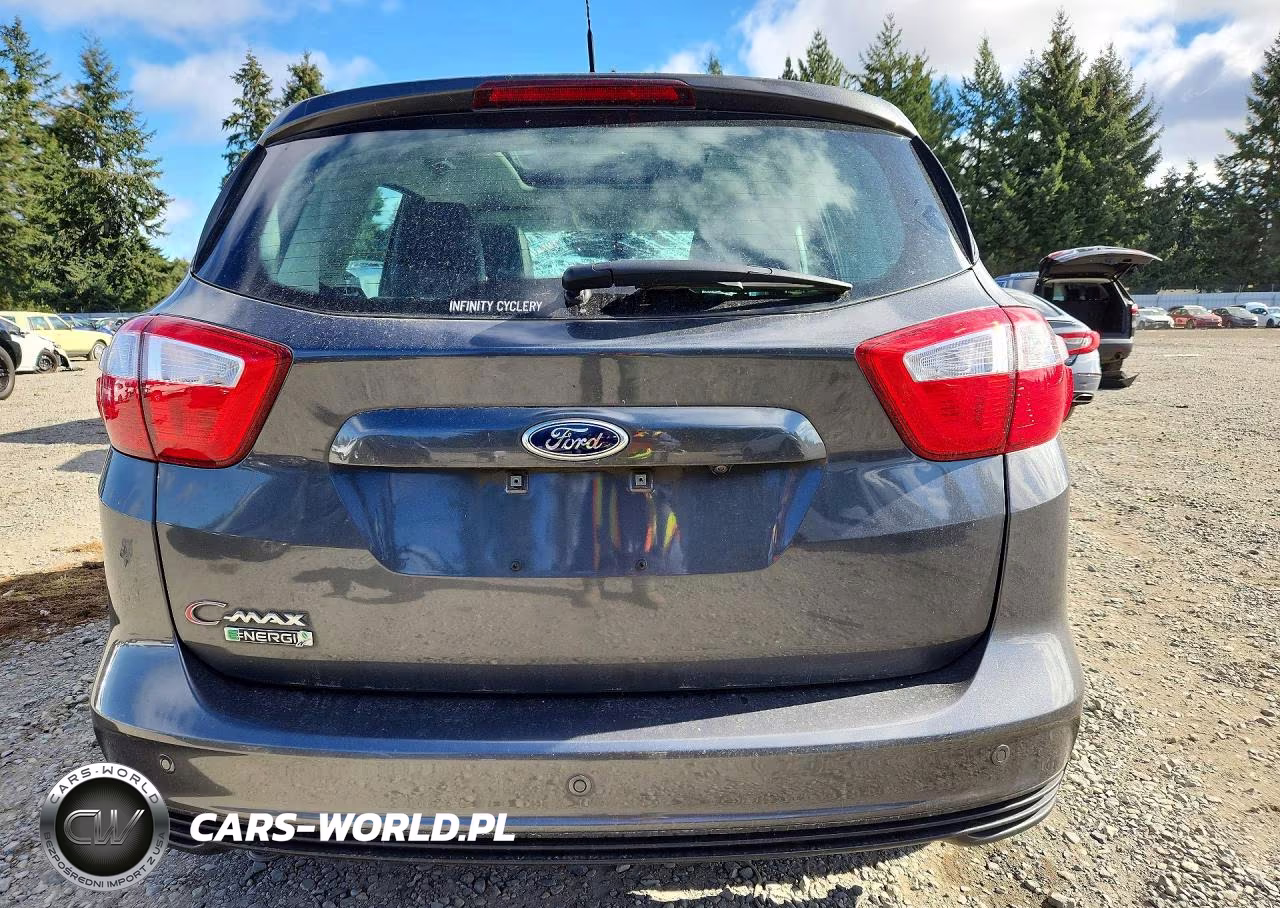 2016 Ford C-Max Premium Sel VIN:1FADP5CU6GL116827 - 6