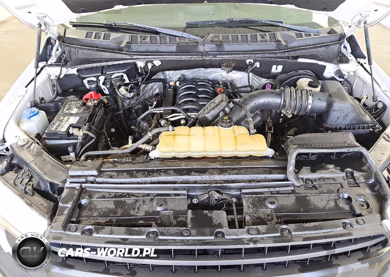 2020 Ford F150 Supercrew VIN:1FTEW1C58LFC77949 - 11