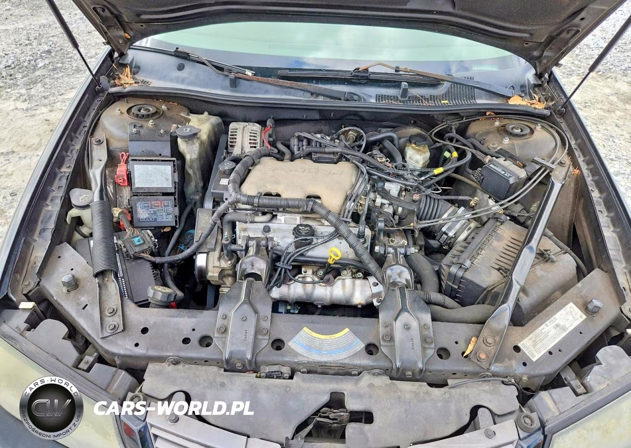 2004 Chevrolet Impala VIN:2G1WF52E849237242 - 11