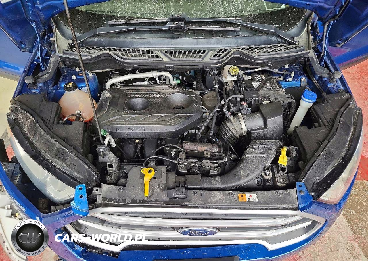 2020 Ford Ecosport Se VIN:MAJ6S3GLXLC314690 - 11