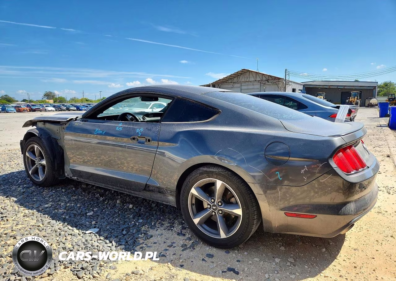2015 Ford Mustang VIN:1FA6P8AM5F5318039 - 2