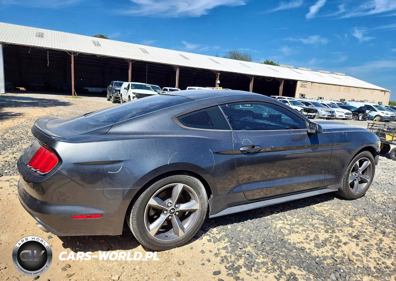 2015 Ford Mustang VIN:1FA6P8AM5F5318039 - 3