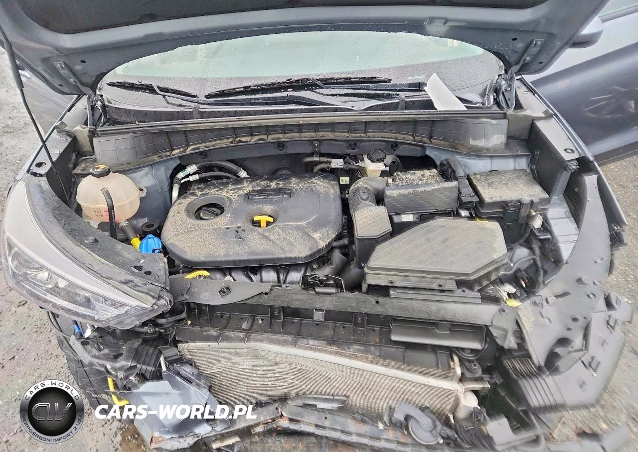 2021 Hyundai Tucson Value VIN:KM8J33A49MU389374 - 12