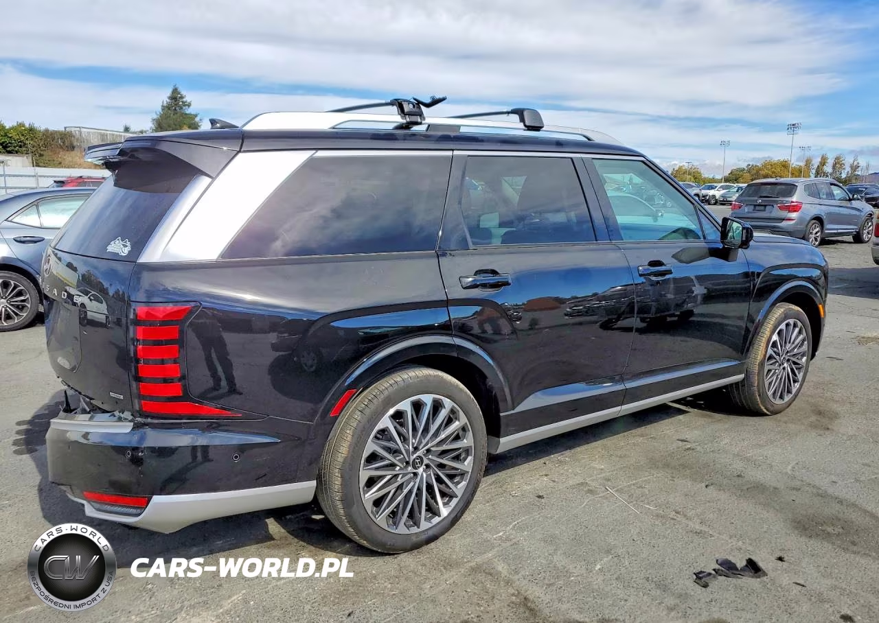 2026 Hyundai Palisade Calligraphy VIN:KM8RMESA5TU029632 - 3