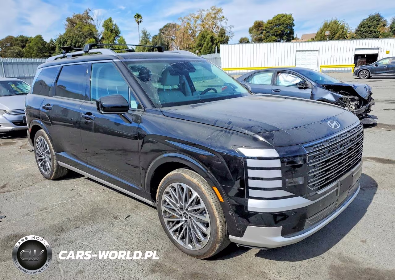 2026 Hyundai Palisade Calligraphy VIN:KM8RMESA5TU029632 - 4