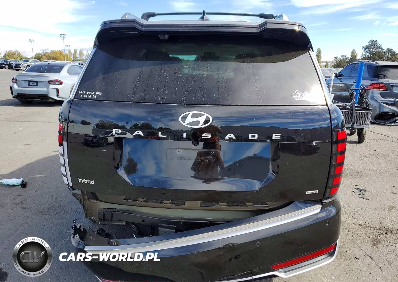 2026 Hyundai Palisade Calligraphy VIN:KM8RMESA5TU029632 - 6