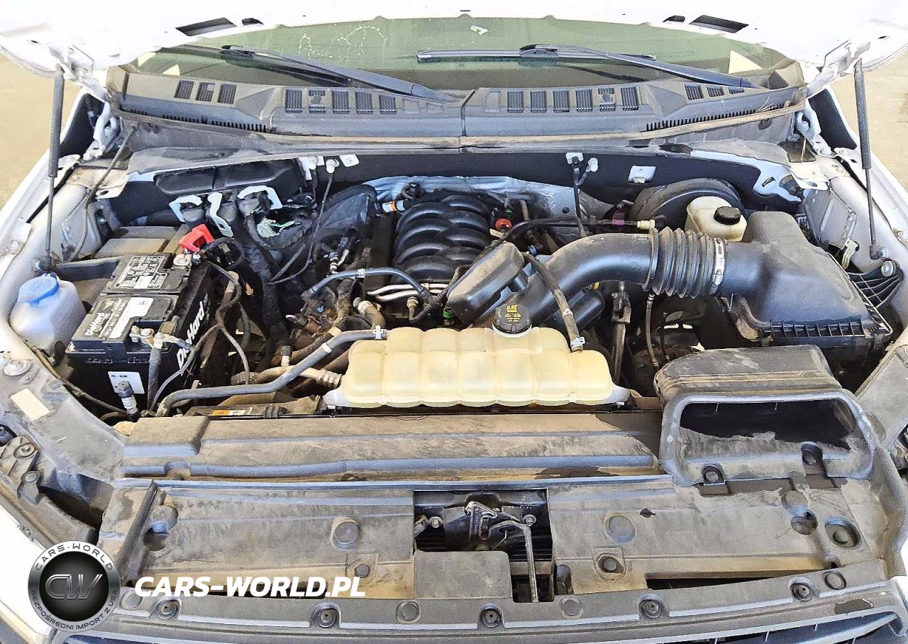 2020 Ford F150 Supercrew VIN:1FTEW1C59LFB75141 - 11