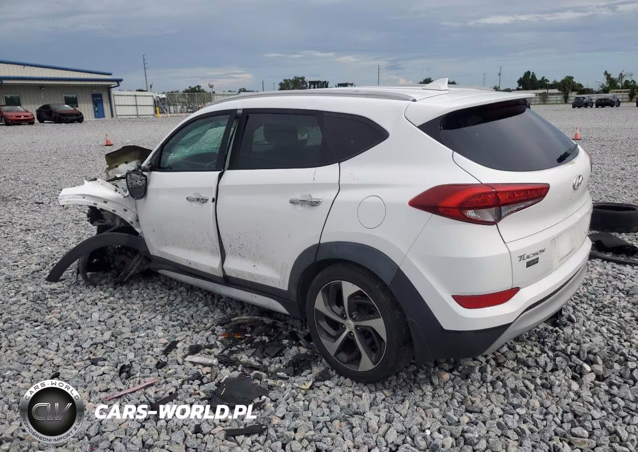 2017 Hyundai Tucson Limited VIN:KM8J33A21HU371472 - 2