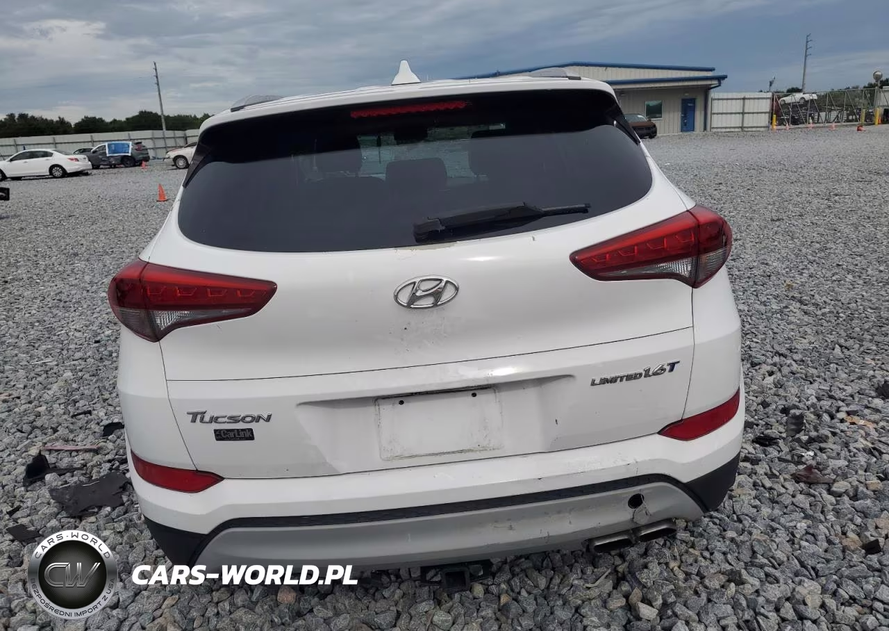 2017 Hyundai Tucson Limited VIN:KM8J33A21HU371472 - 6